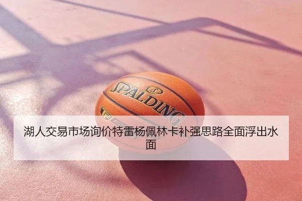 湖人交易市场询价特雷杨佩林卡补强思路全面浮出水面