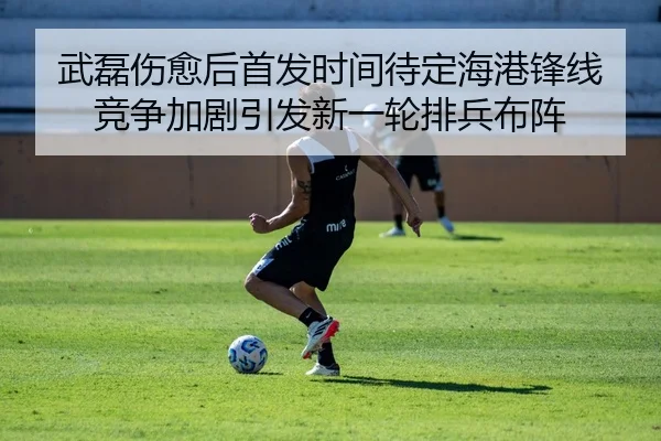武磊伤愈后首发时间待定海港锋线竞争加剧引发新一轮排兵布阵